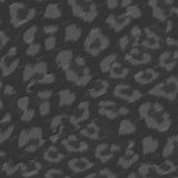 Ghost-Leopard-22