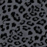 Ghost-Leopard-23