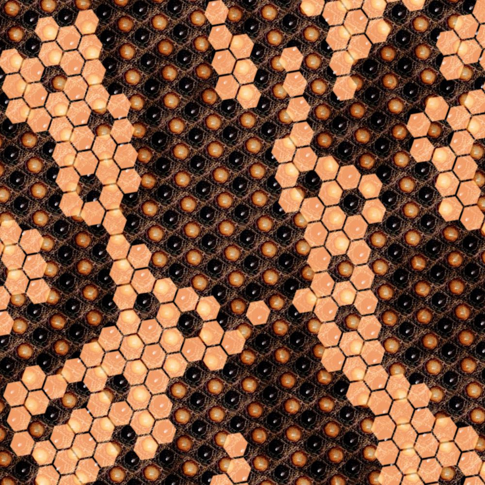 Gila Monster Skin 22