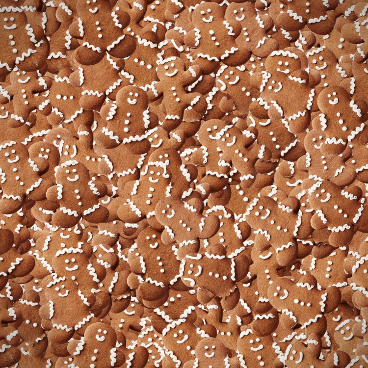 Gingerbread Men 22