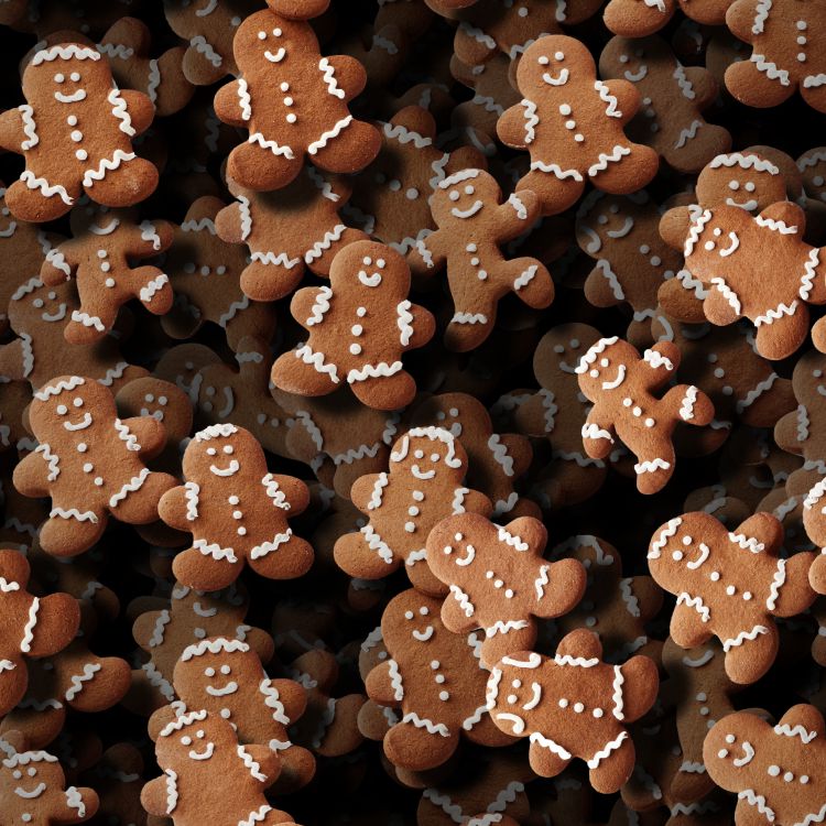 Gingerbread Men 23