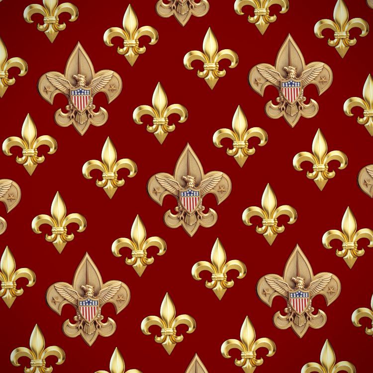 Gold BSA Logo 23