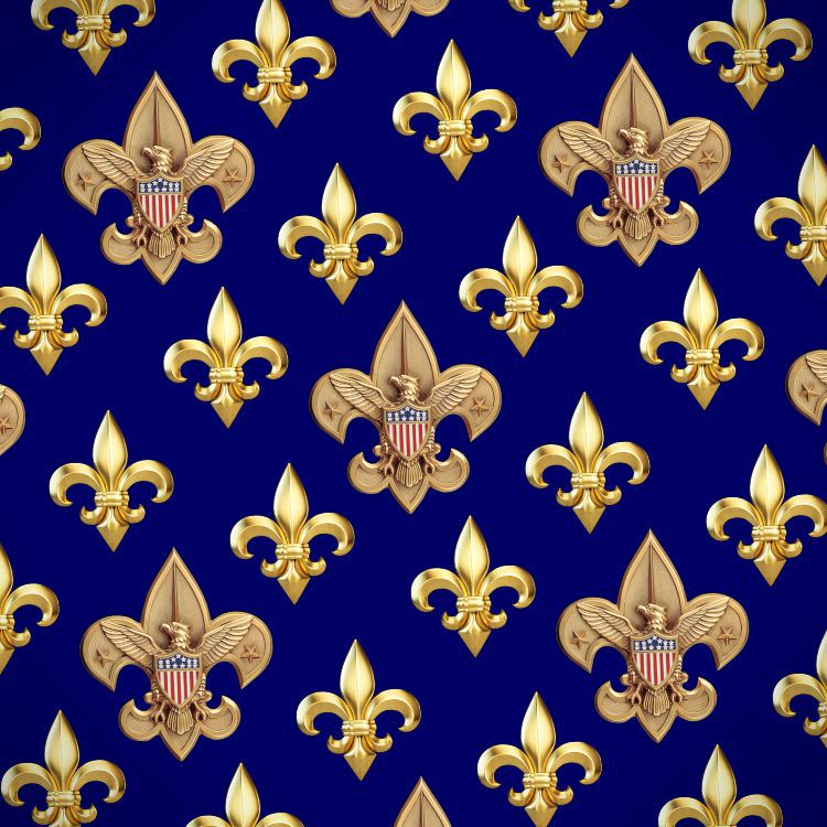 Gold BSA Logo 24