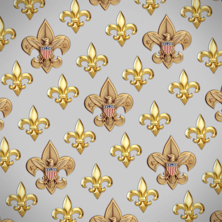 Gold BSA Logo 25