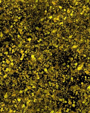 Gold Flakes Falling