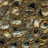 Gold-Veined-Quartz