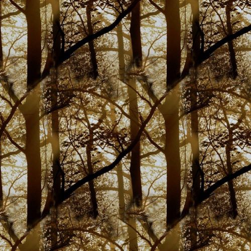 Golden Forest Camouflage