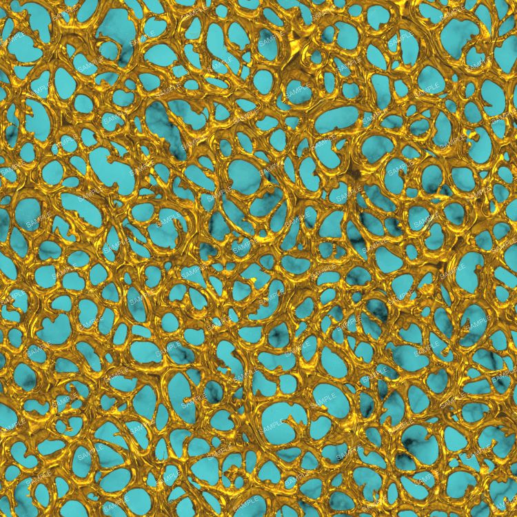 Golden Matrix on Turquoise