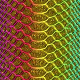 Golden-Rainbow-Snake-Skin-22