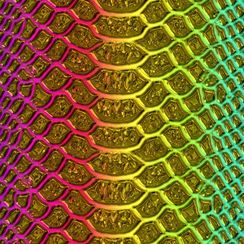 Golden Rainbow Snake Skin 22