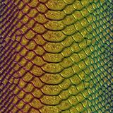 Golden-Rainbow-Snake-Skin-23