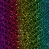 Golden-Rainbow-Snake-Skin-24