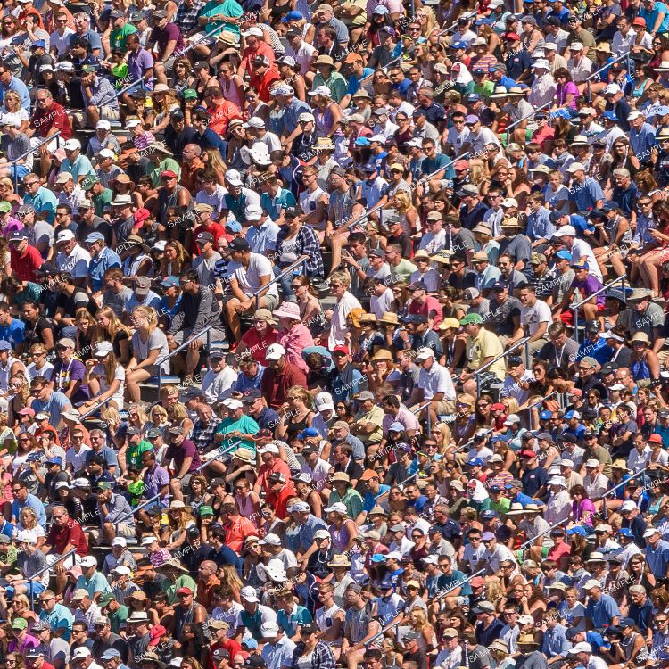 Grandstand Crowd