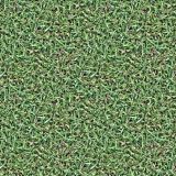 Grass-23.jpg