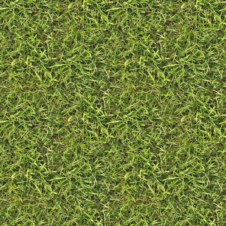 Grass 28