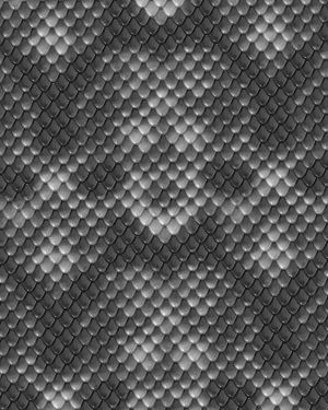 Gray Snakeskin Overlay