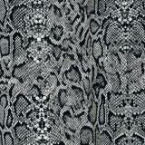 Grayscale-Snakeskin