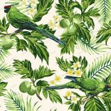 Green-Parrots