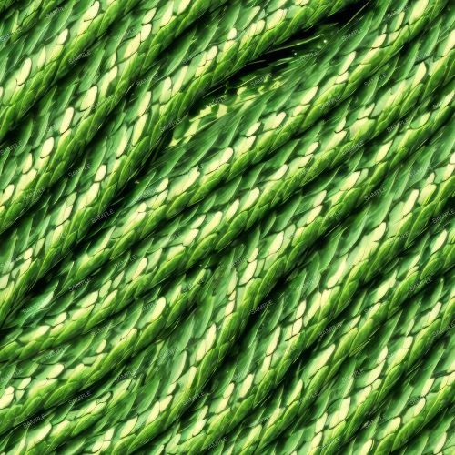 Green Scales 44
