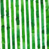 Green-Watercolor-Lucky-Stripes