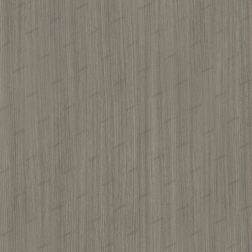 Grey Elm