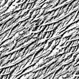 Grunge-Bark-Overlay-23.jpg