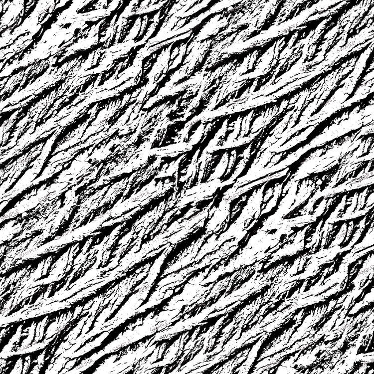 Grunge Bark Overlay 23