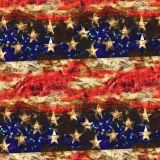 Grunge-US-Flag-46