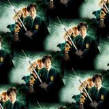 H-Potter-24