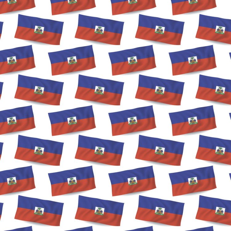 Haitian Flag 23