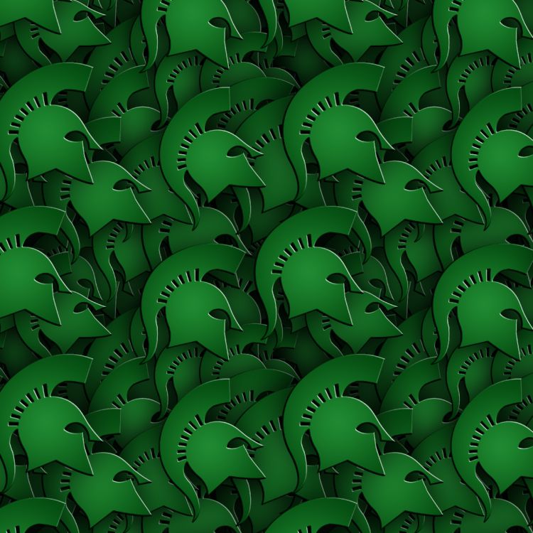 Halton Spartans