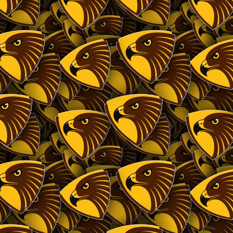 Hawthorn Football Club