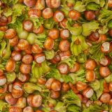 Hazelnuts-with-Shells
