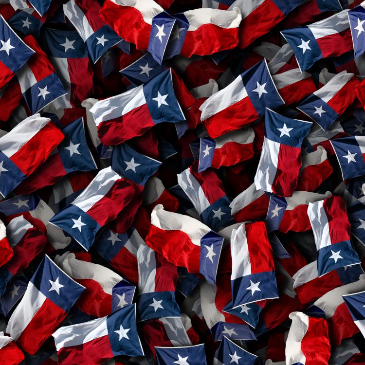 Heart of Texas Flags 22