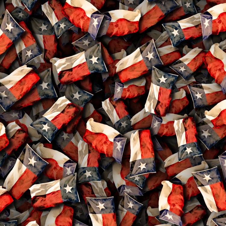 Heart of Texas Flags 23