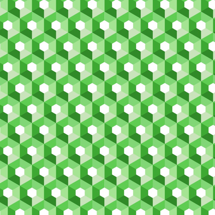 HexGeo 24