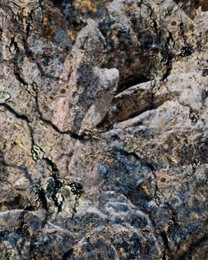 Hide Open Rock Veil Camouflage