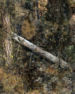 Hide Open Timber Veil Camouflage