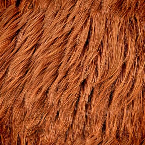 Highland Cow Fur