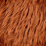 Highland Cow Fur