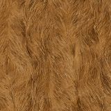 Highland-Cow-Fur-42