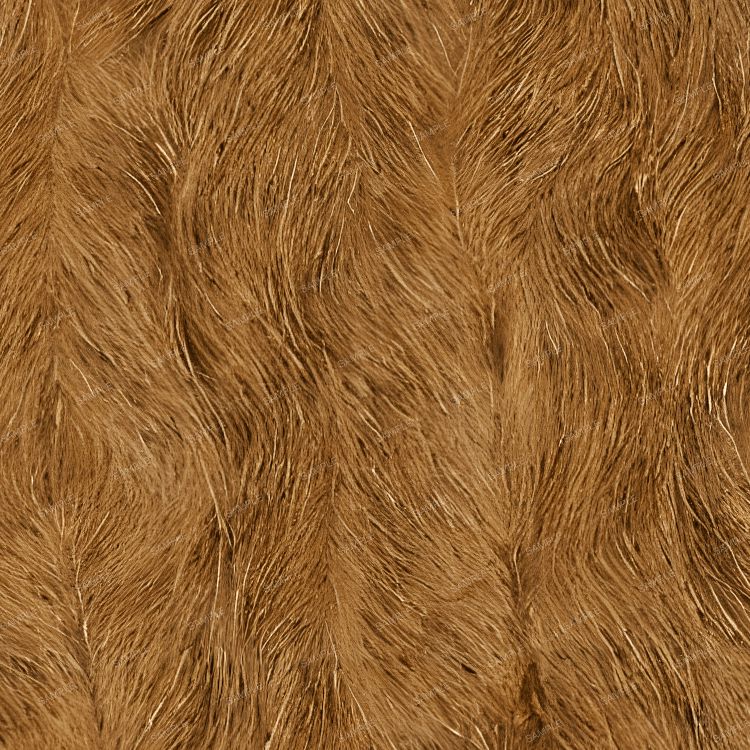 Highland Cow Fur 42