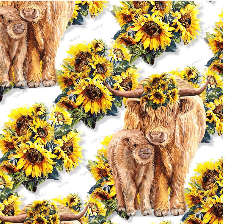 Highland Cow Sunflower 22