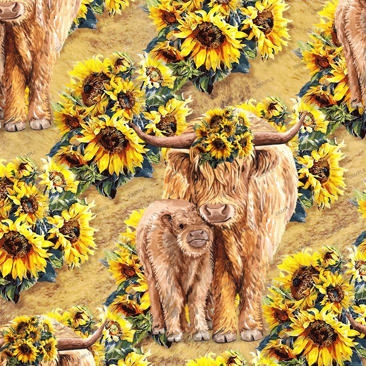 Highland Cow Sunflower 23