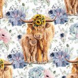 Highland-Cow-Sunflower-24