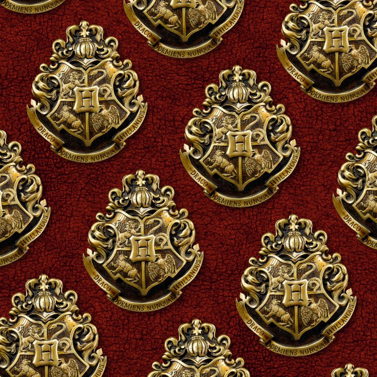Hogwarts Medallion 27