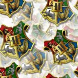 Hogwarts-Medallion-30