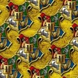 Hogwarts-Medallion-32