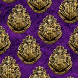 Hogwarts-Medallion-33