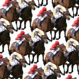 Horse-Racing-22.jpg